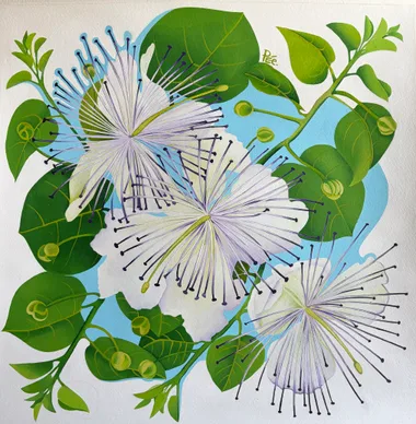 Exposition dessins -Butinerie – Perrine PÉe