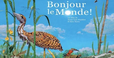 Projection – Bonjour le monde !