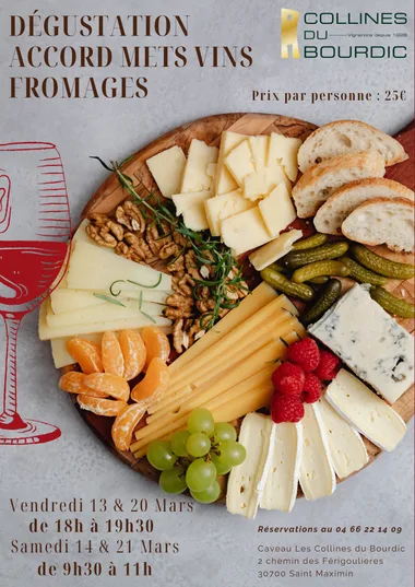 Dégustation Accord Mets Vins Fromage