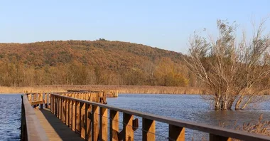 Balade – Voyage sonore  Etang de La Capelle