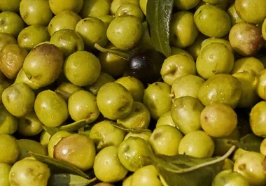 Les dégustations gourmandes de Panéry