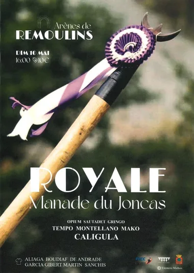 Course camarguaise – Royale manade du Joncas