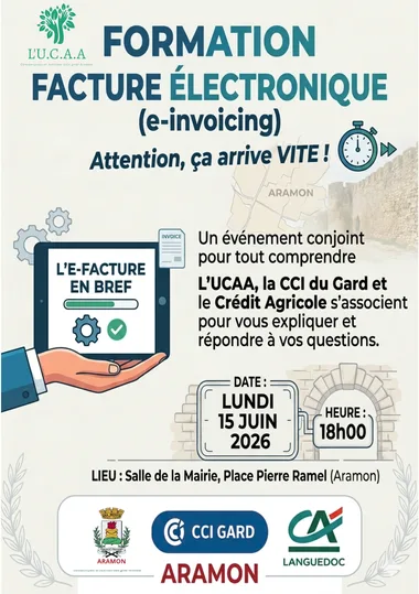Formation Facture électronique