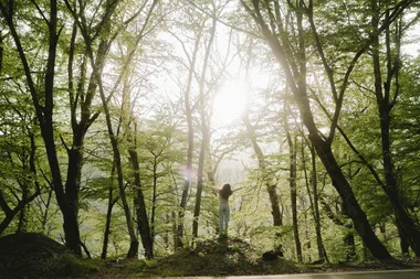 Bain de forêt
