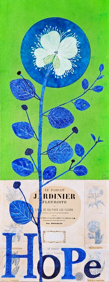 Exposition – Le Langage des Plantes