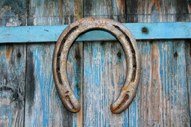 Visites guidées du Haras National d&rsquo;Uzès – Uzès, Ville d&rsquo;art et d&rsquo;histoire