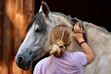 Visites guidées matinales du Haras National d&rsquo;Uzès – Uzès, Ville d&rsquo;art et d&rsquo;histoire