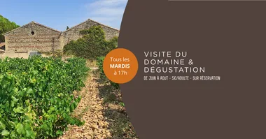 Visite du Domaine Lespina et Dégustation