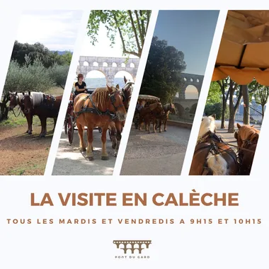 La visite en calèche au Pont du Gard