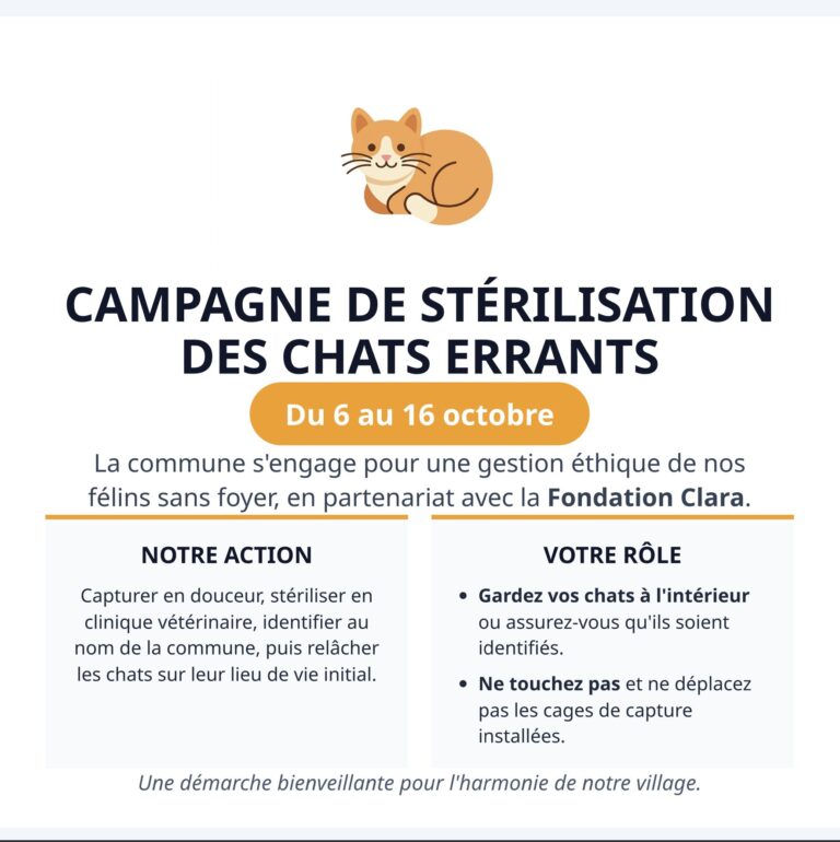 Campagne de stérilisation des chats érrants
