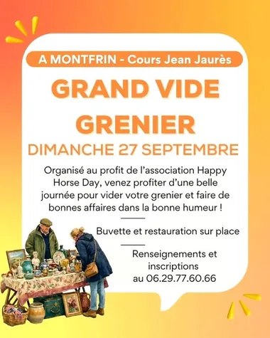 Grand vide-grenier