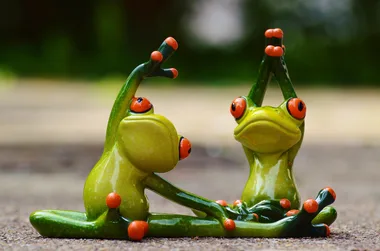 Baby gym